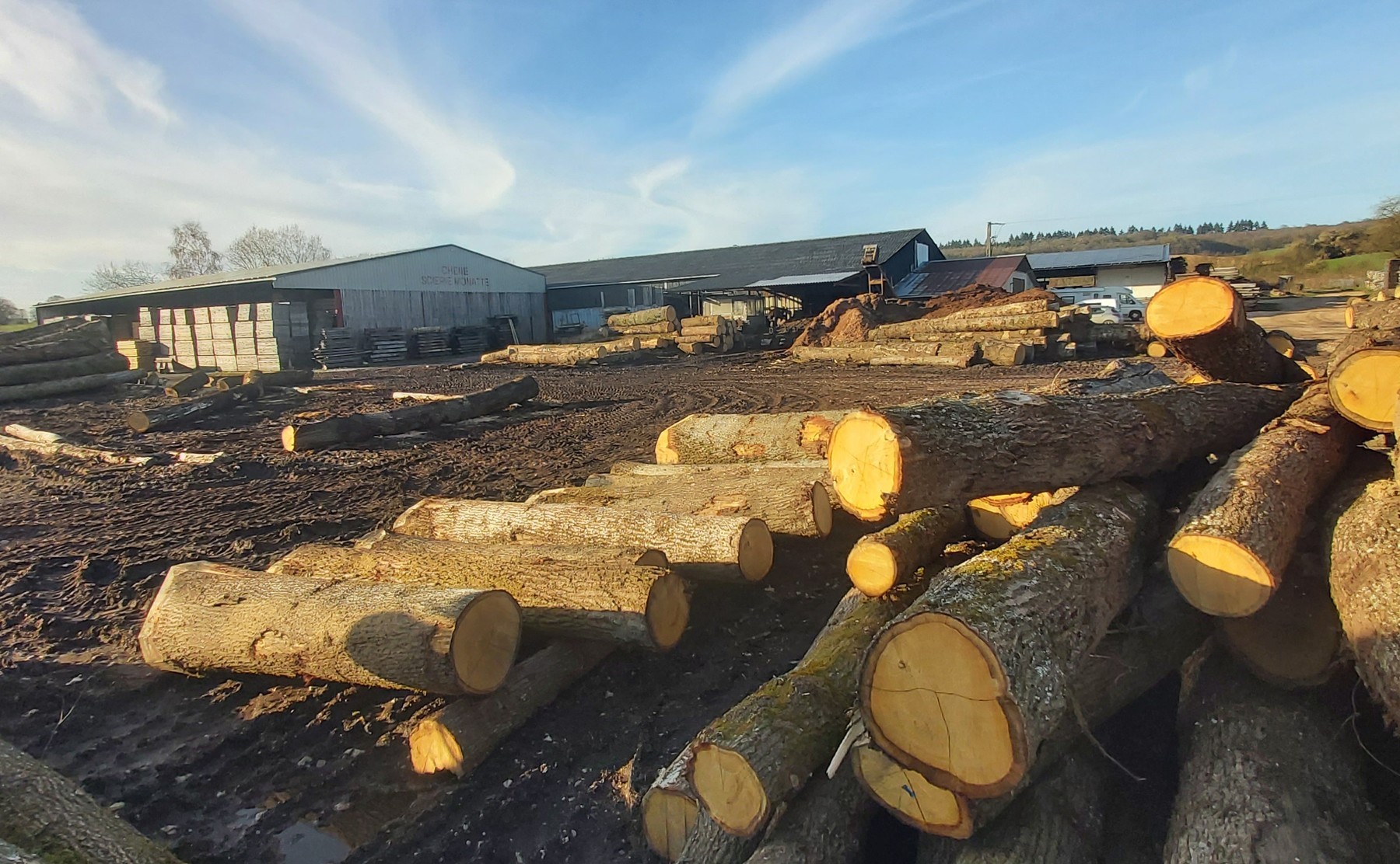 Bois local destiné à la scierie et à l’artisanat