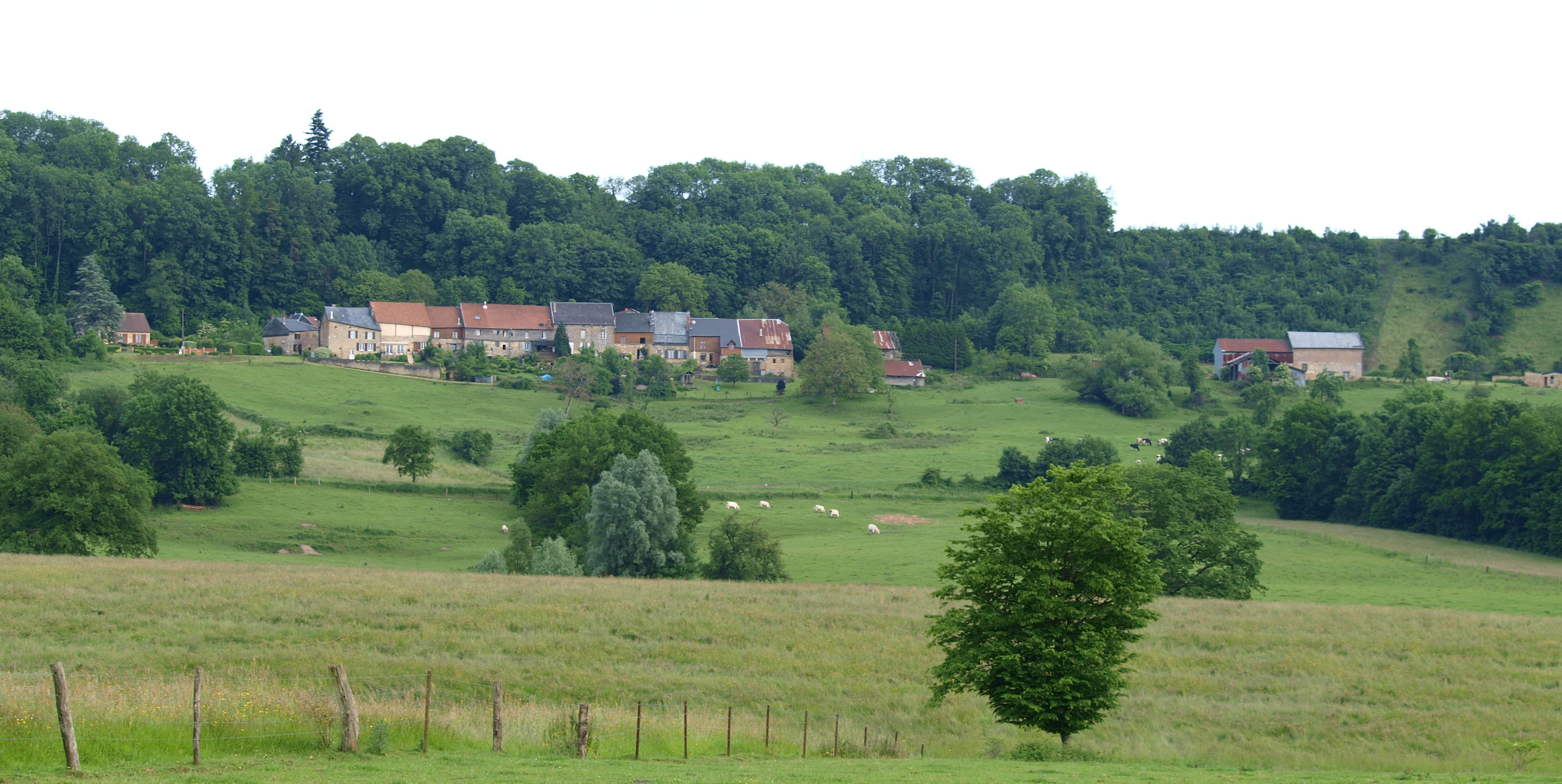 Vue panoramique sur les paysages des Crêtes préardennaises
